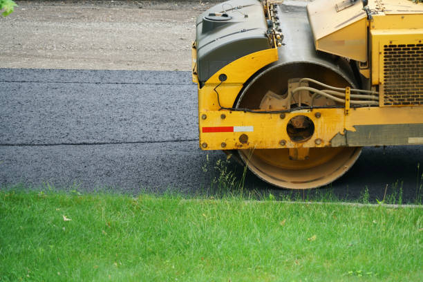 Best Driveway Border and Edging  in Mount Pleasant, TX